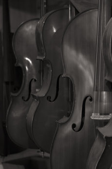 The Violineri 5