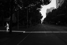 Swanston Street, Melbourne, 2018