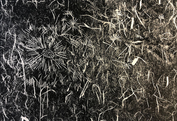 L'été Abstracted
