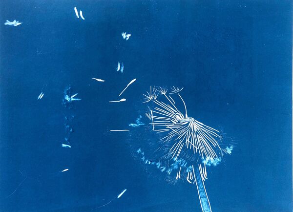 Fly Away