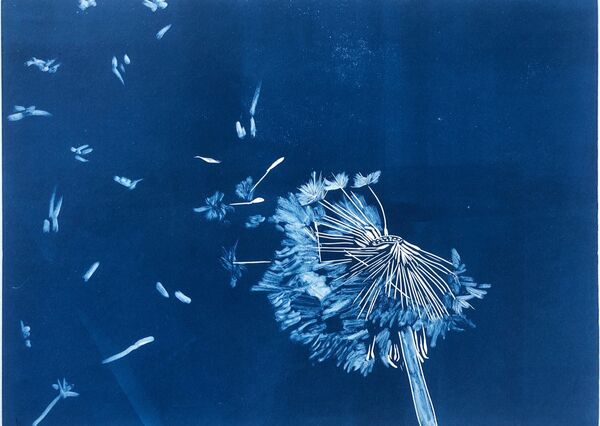 Fly Away