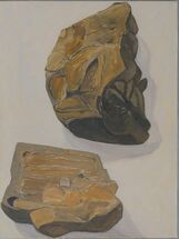 Still Life 152, 2021, oil on linen, 40 x 30 cm