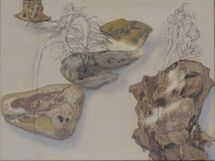 Still Life 153, 2021, oil and charcoal on linen, 30 x 40 cm