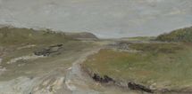 Newport, Pembrokeshire, 2014, oil on board, 20.5 x 41 cm