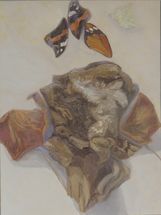 Still Life 112, 2018, oil on linen, 40 x 30 cm