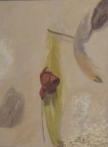 Still Life 139, 2019, oil on linen, 40 x 30 cm