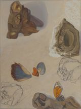 Still Life 127, 2020, oil and charcoal on linen, 40 x 30 cm