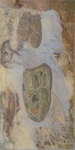 Untitled 1, 2021, oil and charcoal on wood, 41 x 20.5 cm