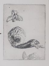 Untitled, 2018, etching, 20 x 15 cm