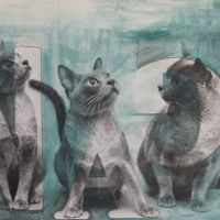 grey cats, 2012, oil on print, £150