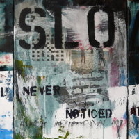 I never noticed, triptych, 51x102x4cm, mixed media and collage on canvas, 2014