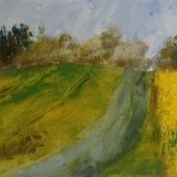 Spring Fields