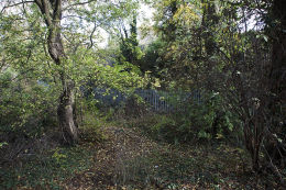 Edgelands