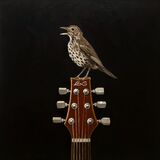 Songbird