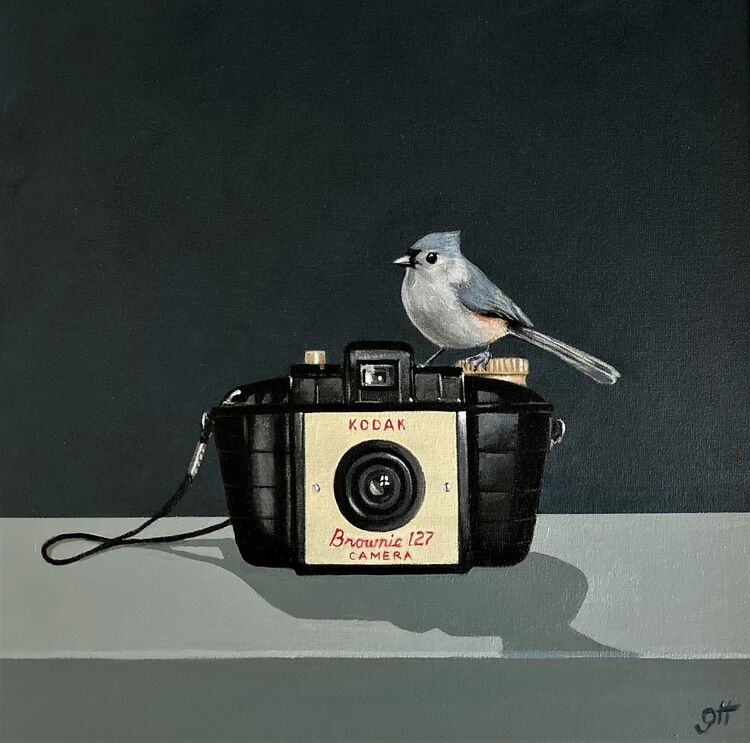 Watch the Birdie!