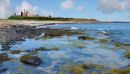 Dunstanburgh castle and rock pools