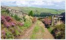 Towards Hey Clough from Holme