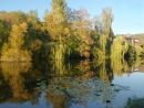 Autumn Reflections, Magdale, Holme Valley