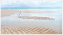 Sand Between the Toes