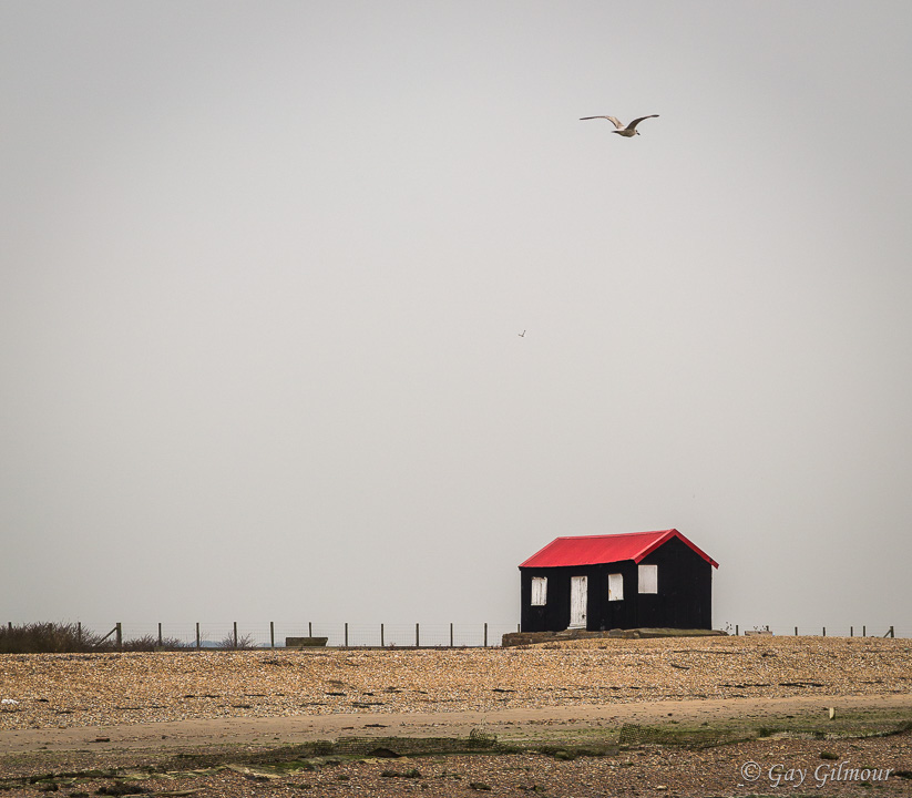 Camber Sands