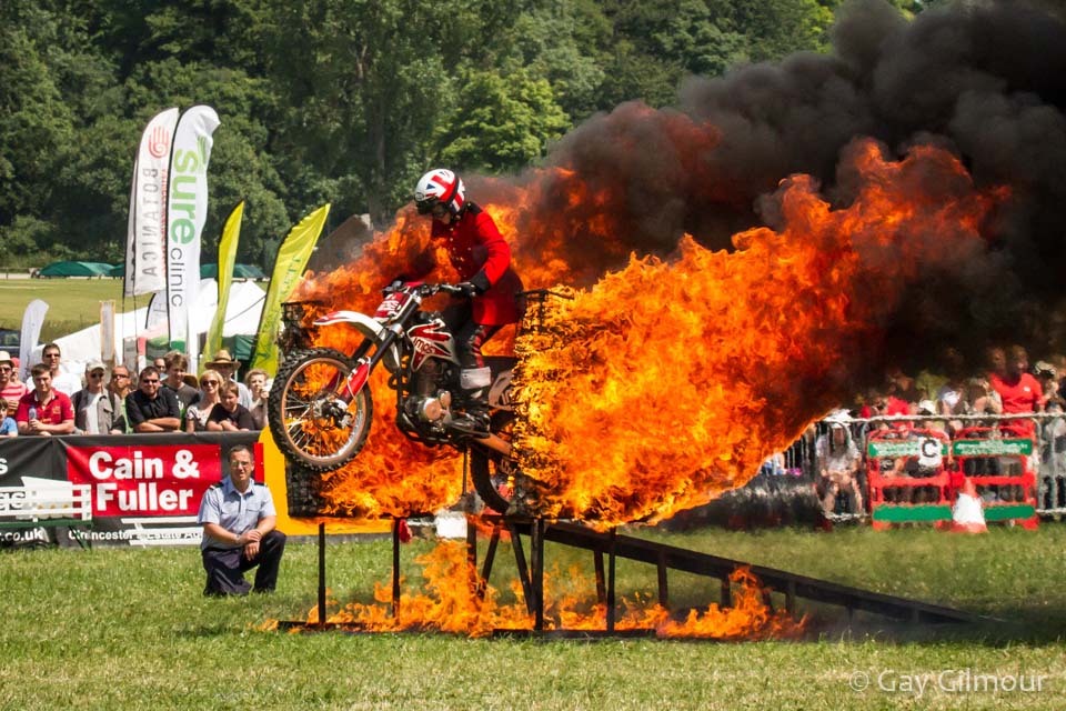 Cotswold Show