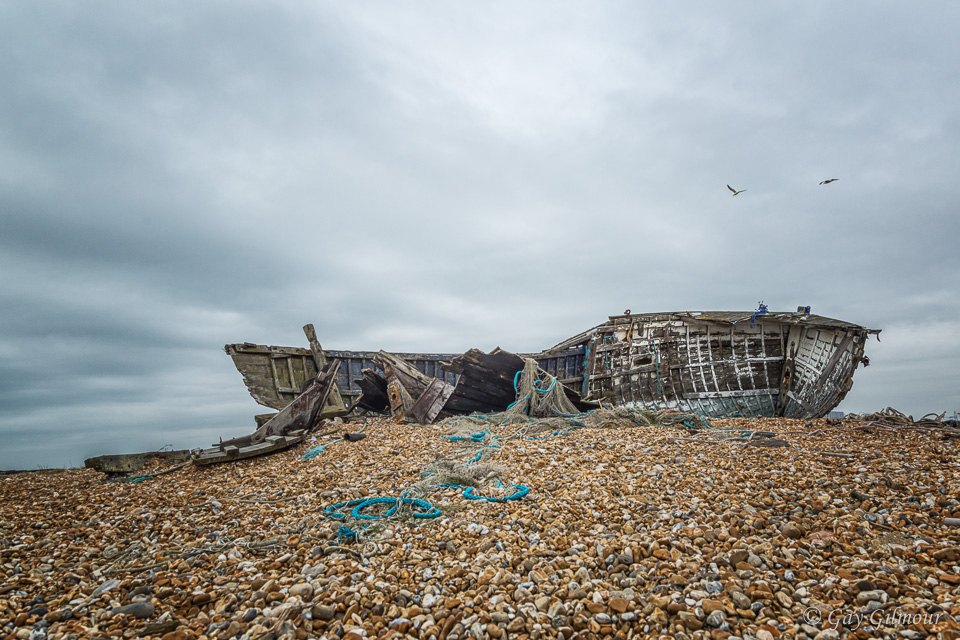 Dungeness