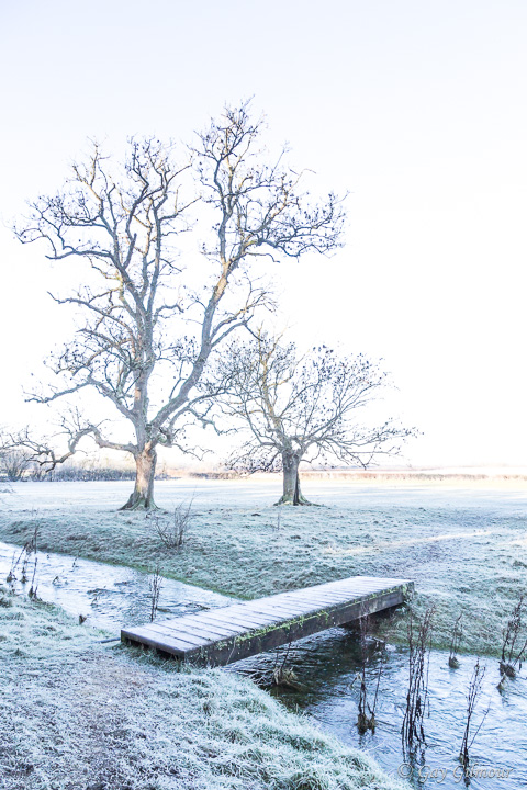 Kemble Frost