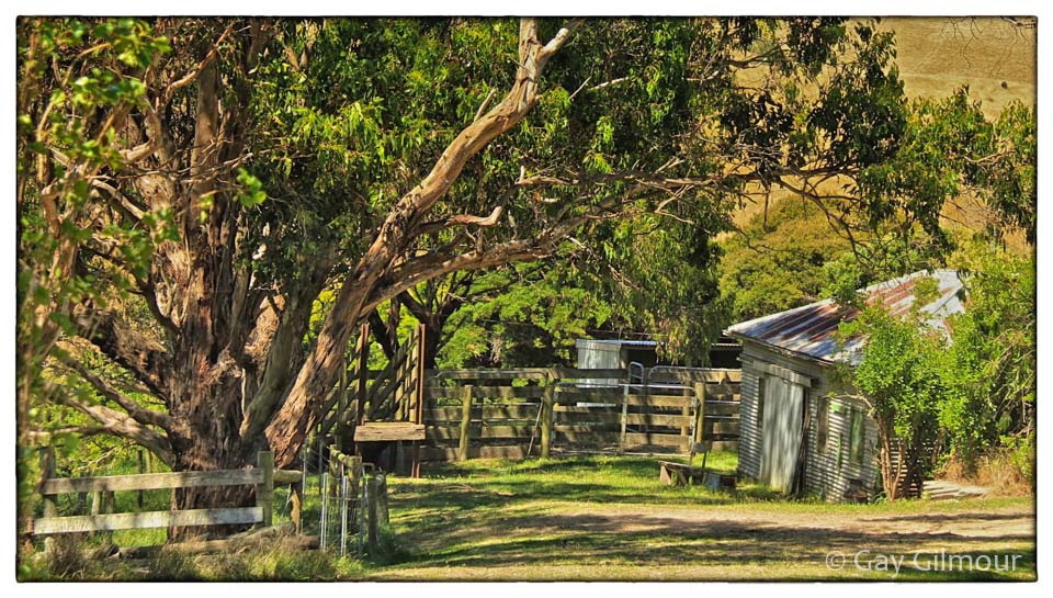 Outback Farm