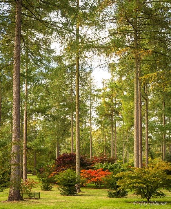 Westonbirt