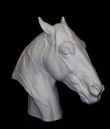 B076 Cavallino Testa