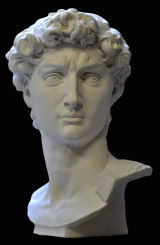 B118 Testa del David Michelangelo