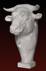 B252 Toro