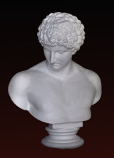 B266 Antinoo Capitolino- riduzione