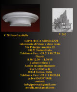 V261 V299