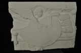 R439 Magi che dormono - copia da Cattedrale di Autun Francia