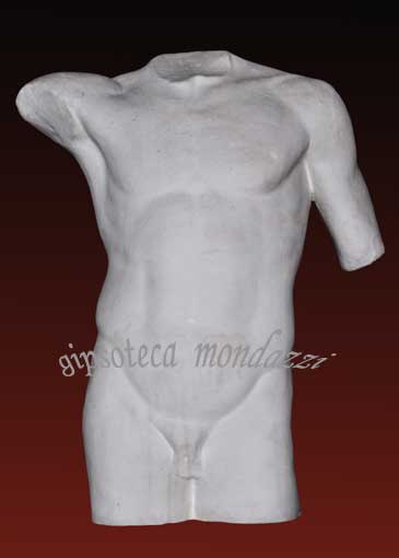 Torso Virile 5