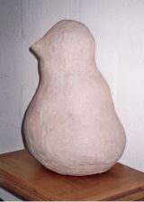 baby Emperor penguin