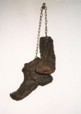 Bill's walking boots