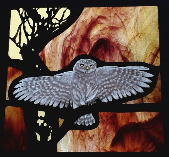 Little Owl 2