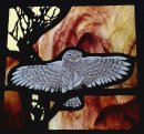Little Owl 2