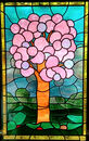 Cherry Tree