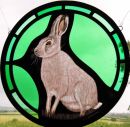 Hare