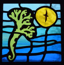 Seaweed 2