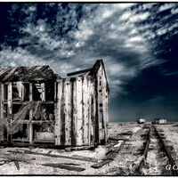 Dungeness