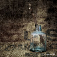 Spider and the Ink Bottle