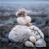 Stones 3