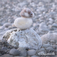 Stone 4