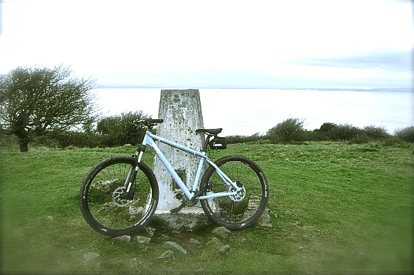 goat-bikes-29'er-5