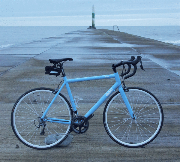 Race with Saddle Bag Battery