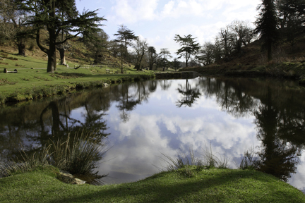 Bradgate Park Pond